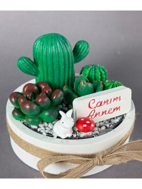 Canım Annem Beton Kaktüs Sukulent Teraryum Mini Garden