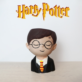 Harry Potter Saksı