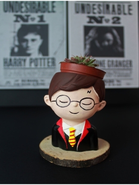 Harry Potter Saksı Dekoratif El Yapımı Biblo Sukulent Saksısı